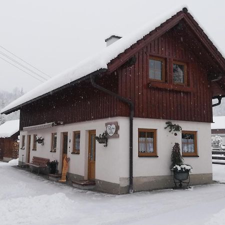 Apartment Natur Herz Haus im Ennstal Exteriör bild