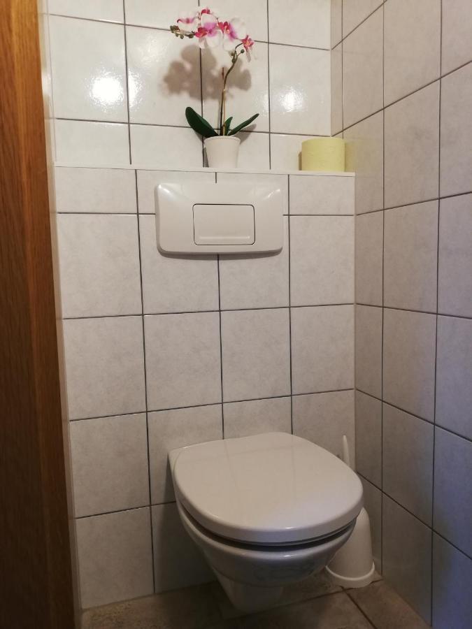 Apartment Natur Herz Haus im Ennstal Exteriör bild