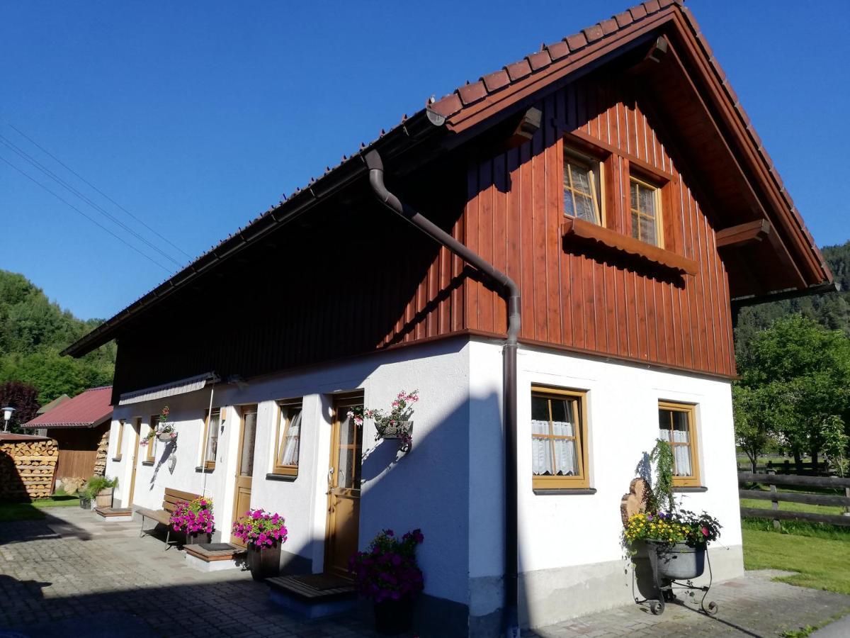 Apartment Natur Herz Haus im Ennstal Exteriör bild