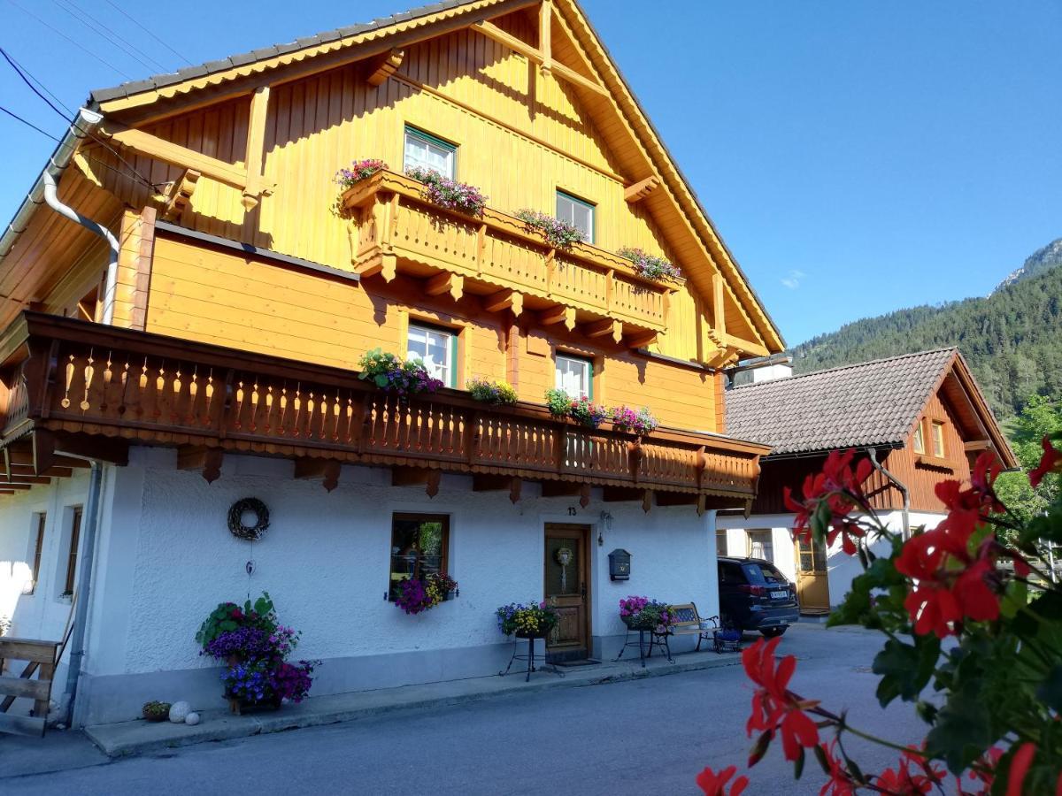 Apartment Natur Herz Haus im Ennstal Exteriör bild
