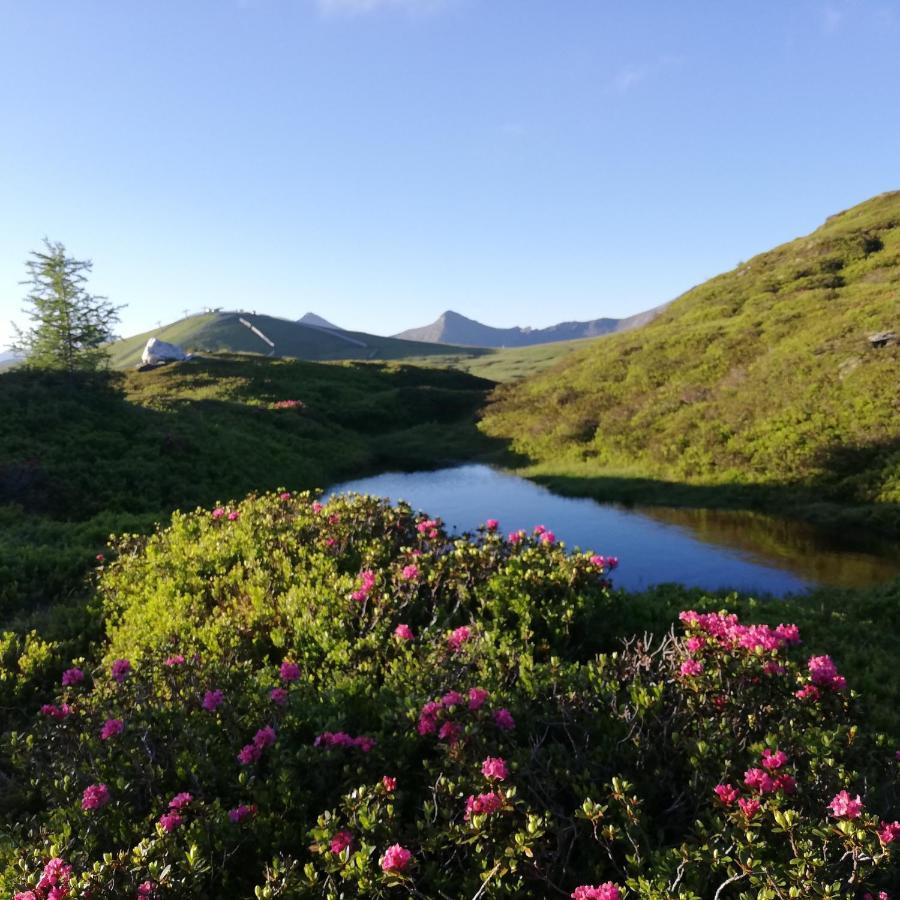 Apartment Natur Herz Haus im Ennstal Exteriör bild