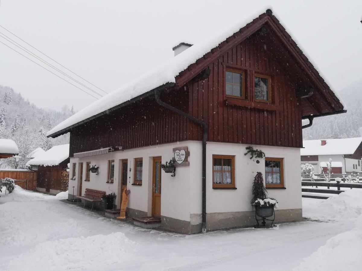 Apartment Natur Herz Haus im Ennstal Exteriör bild